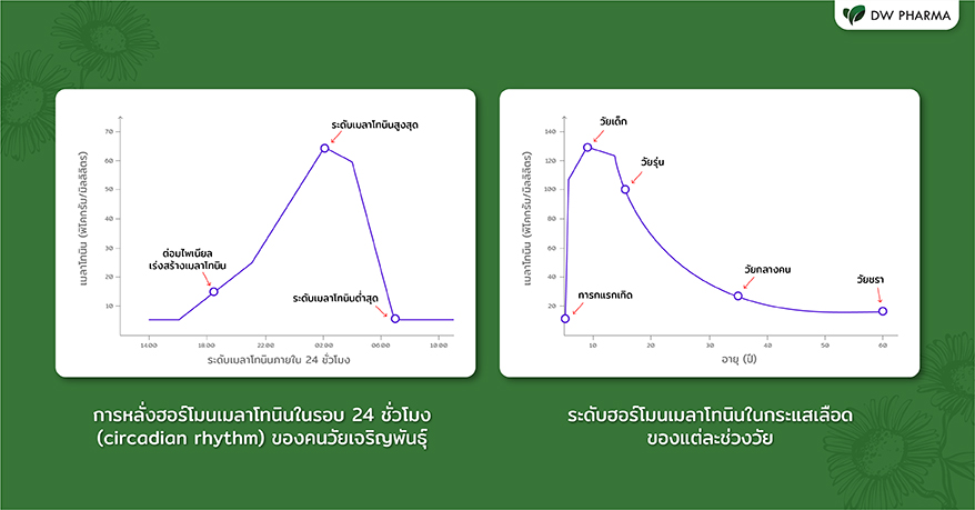 เมลาโทนิน,เมลาโทนินคือ