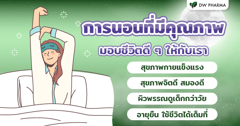 หลับลึก คือ