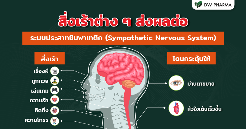 ตื่นเต้น เกิดจาก