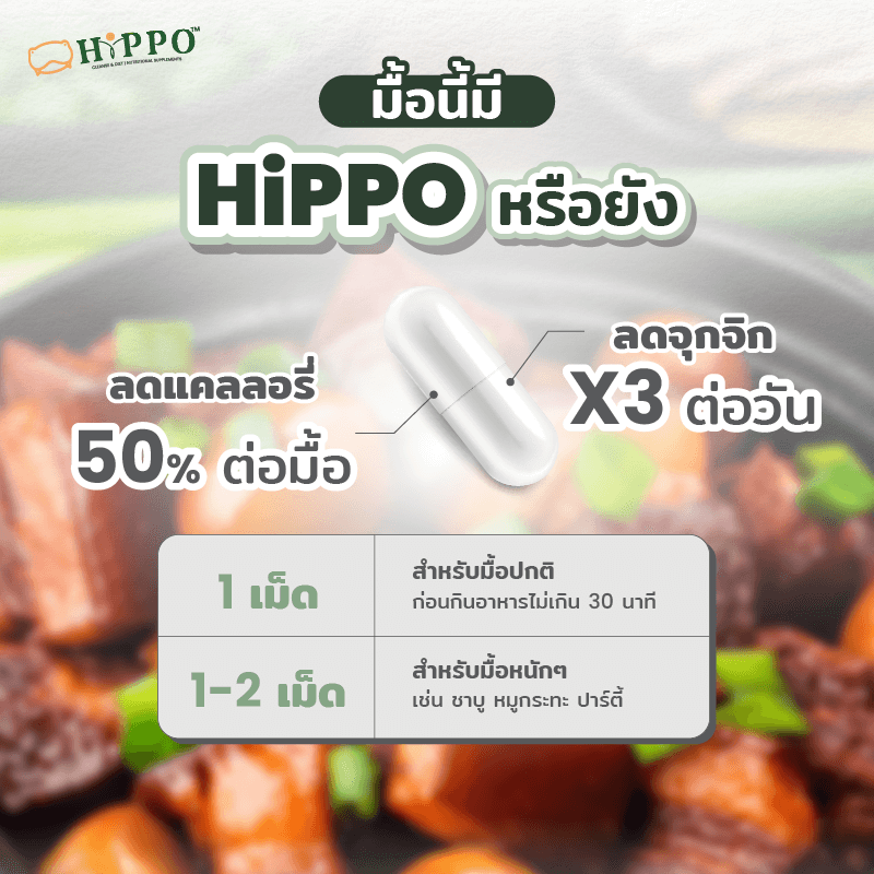 202209 14 dw hippo landingpage มื้อนี้มี hippo หรือยัง 01 (1)