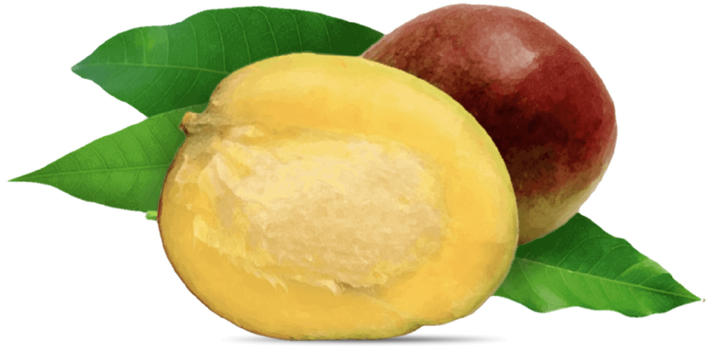 african mango 1