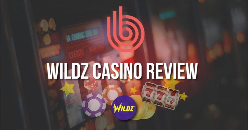 wildzy 2026.jpg